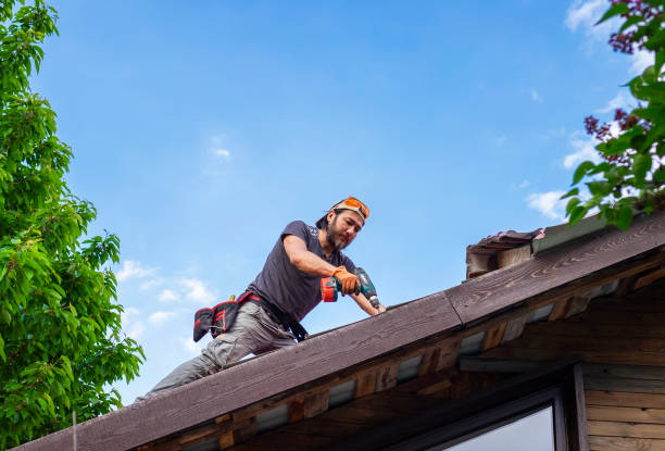 Best Roof Ventilation Installation  in East Lexington, VA