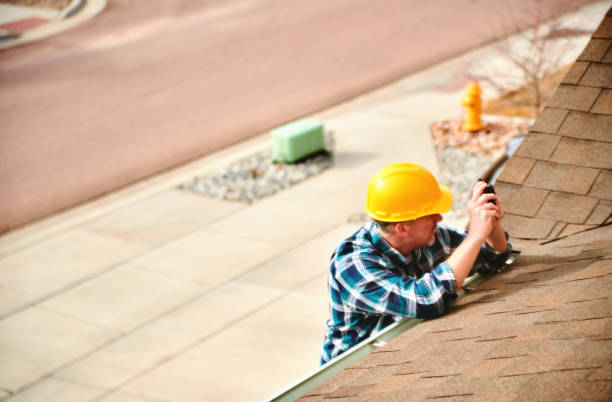 Best Roof Moss and Algae Removal  in East Lexington, VA